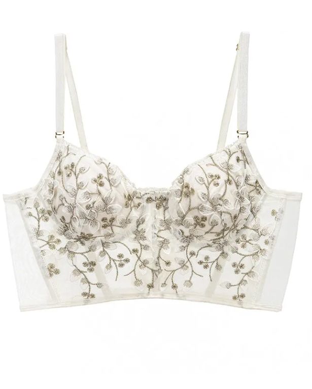 Embroidered Lace and Steel Bone Overlay French Lingerie Bra Set